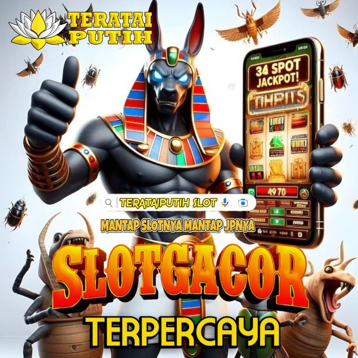Layarkaca21